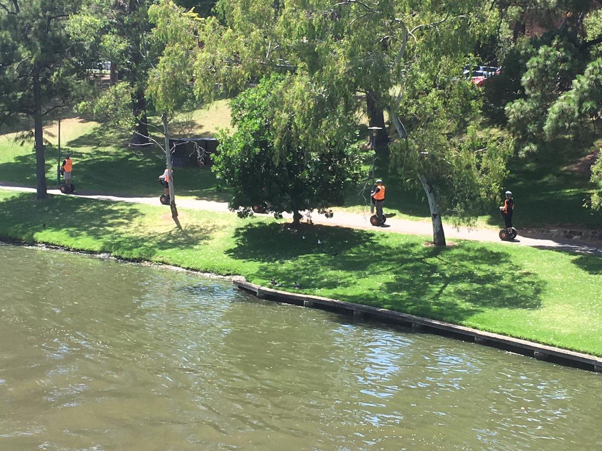 Adelaide Style Accommodation-Close To City-North Adelaide-3 Bdrm- Free Parking Eksteriør billede